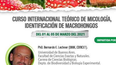 CURSO INTERNACIONAL TEÓRICO DE MICOLOGÍA, IDENTIFICACIÓN DE MACROHONGOS